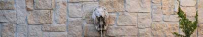 lion water fountain in courtyard